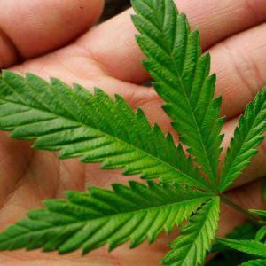 New Jersey Lawmakers Approve Cannabis Legalization Bill New Jersey Lawmakers Approve Cannabis Legalization Bill