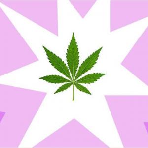 New Jersey Cannabis Legalization Deal Implodes  New Jersey Cannabis Legalization Deal Implodes