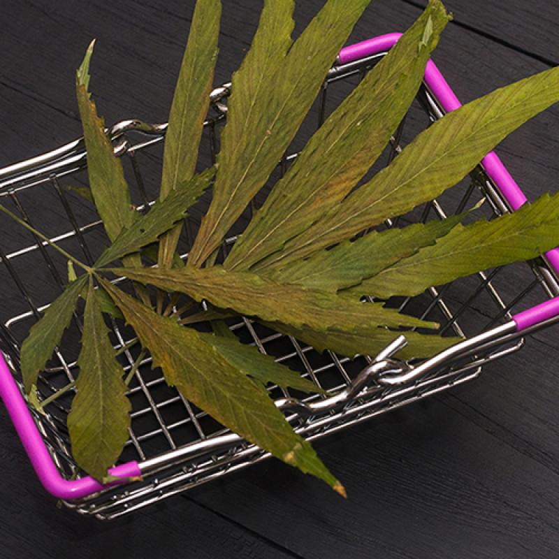 New Jersey Warns Five Companies Against Cannabis ‘Gifting’